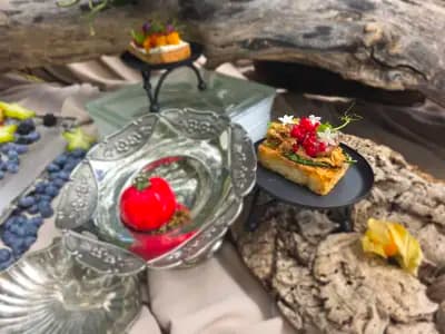 Dream Team catering - Sofia | Кетъринг София