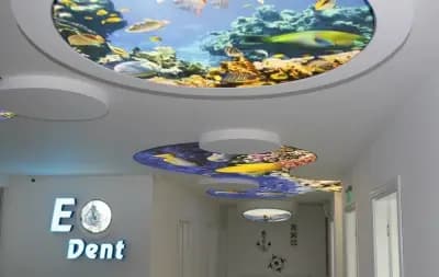 ЕО Дент Специализирана детска дентална клиника, EO Dent Paediatric dental clinic (EO Dent Kids)