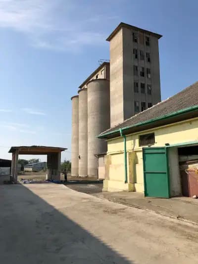 Грейнстор Фийд