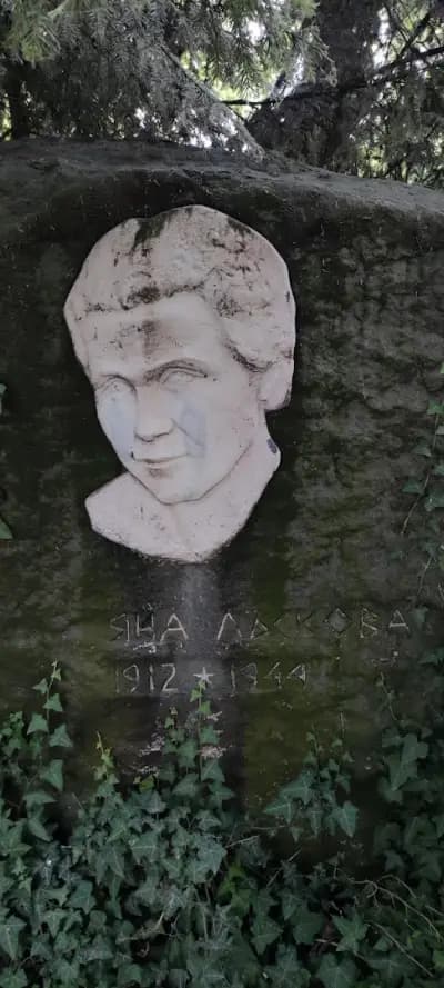 ЯНА АД - фирмен магазин