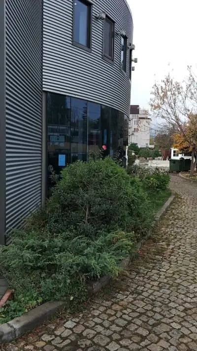 Европа
