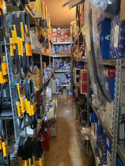 AUTO MOTOR PARTS GROUP LTD