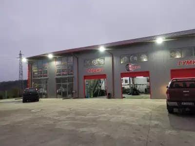 Сервиз европа сливо поле