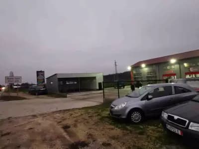 Сервиз европа сливо поле