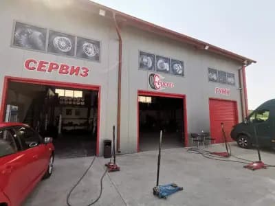 Сервиз европа сливо поле