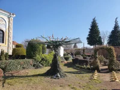 Apartments in Relax Complex Fantasy
