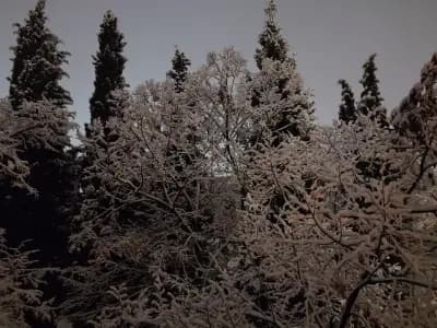 Хотел Феникс