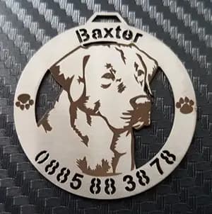 Dog Medallion