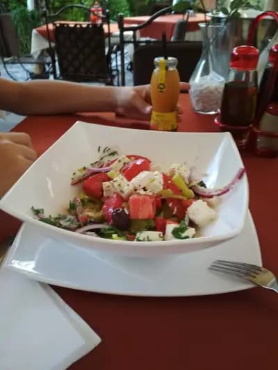 Хотел Чинар
