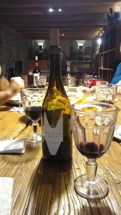 Guest House Podkovite
