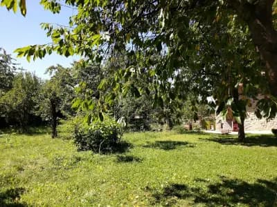 Guest House Podkovite
