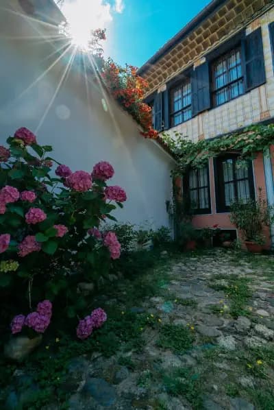 Zoev House