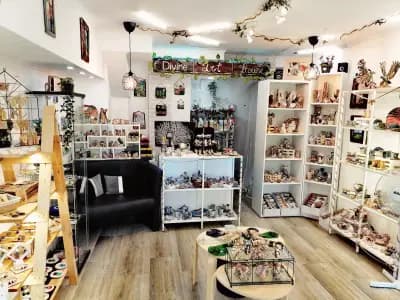 Divine Art House