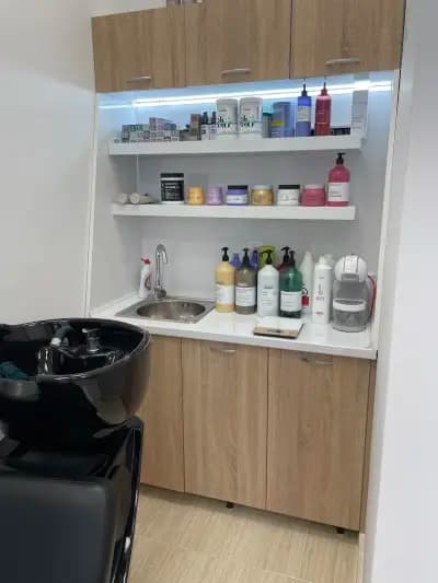 LOREAL Pro hair studio