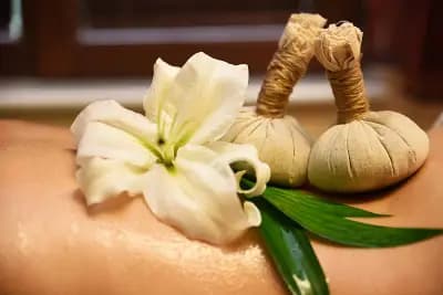 Holistic Gallery Rudraaksha