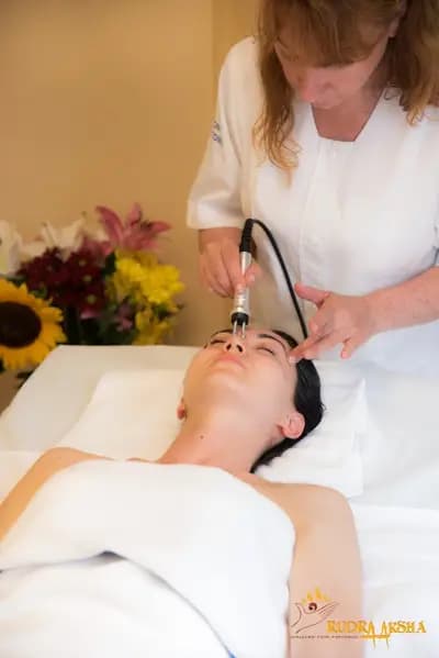 Holistic Gallery Rudraaksha