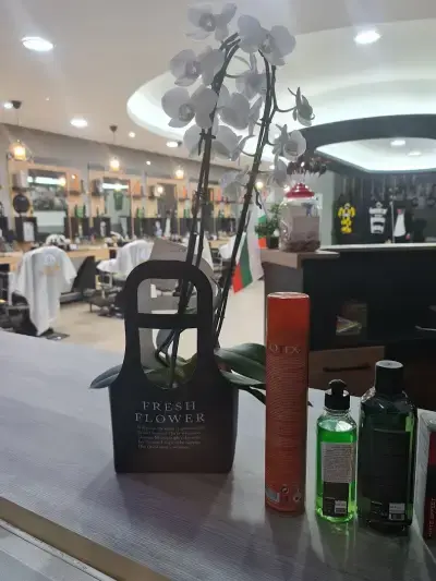 BARBER SHOP IBO BG2