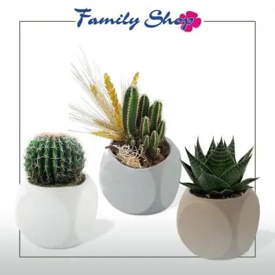 Family Shop