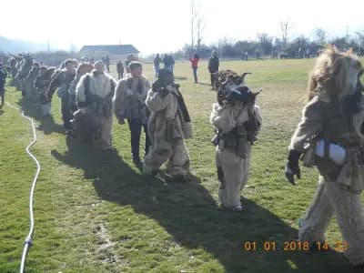 Долчини спортно облекло