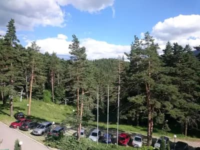 Хотел Магнолия, Hotel Magnoliya