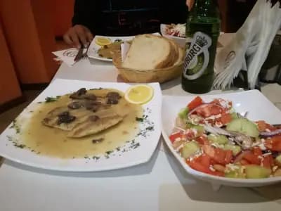 Хотел Магнолия, Hotel Magnoliya