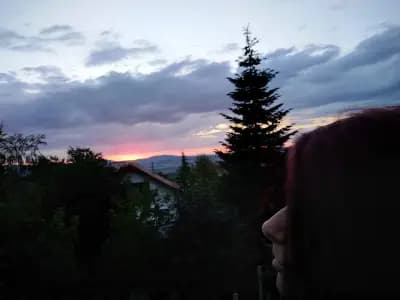 Къща „Кипарис“