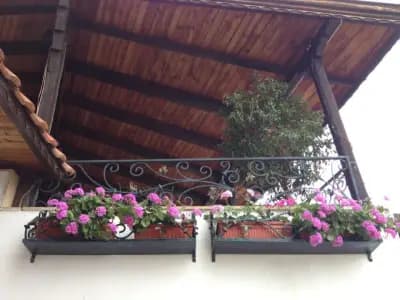 Hotel Alpineum