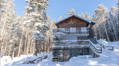 Algara hut