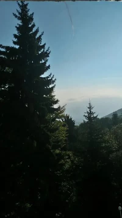 Почивна база"Ведра"-Витоша към МЗХГ