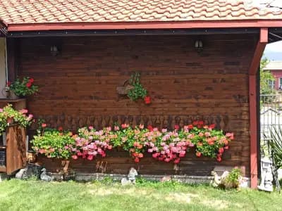 Вилен комплекс Дарибел