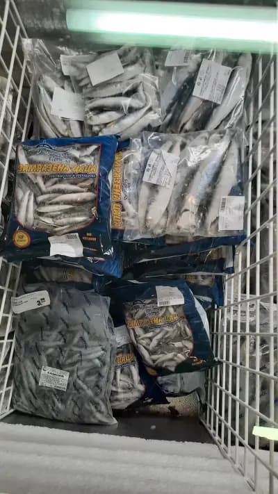 Supermarket Lazur 6