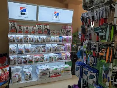 Барс и Бела – зоомагазин и груминг салон