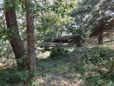 Планина за всеки
