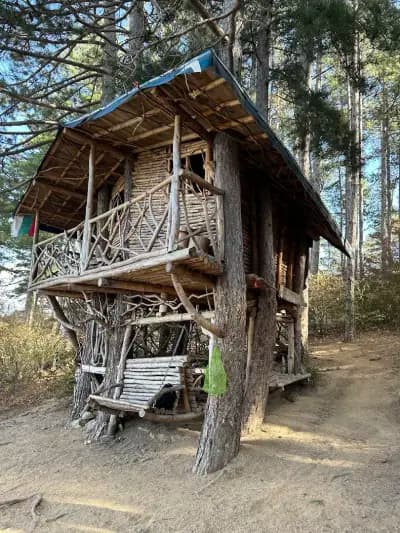 Дървената къща