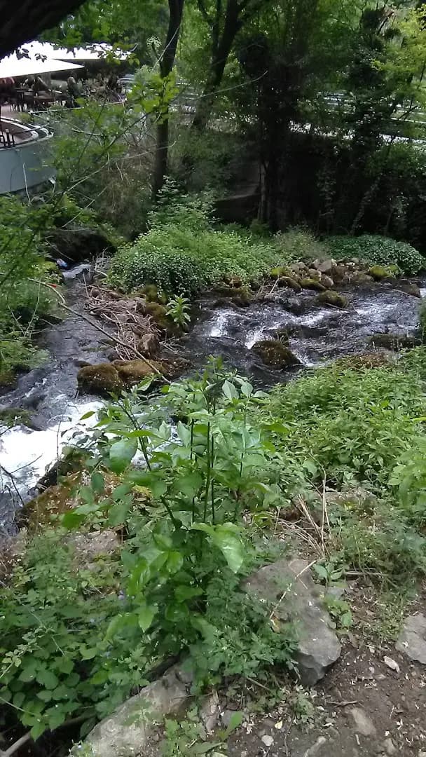 Карстов извор Житолюб