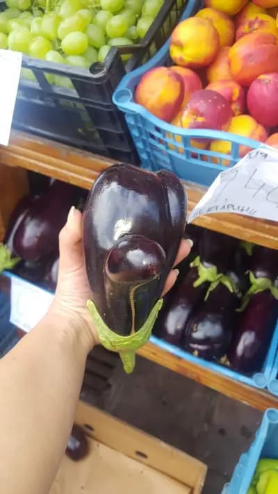 Анико