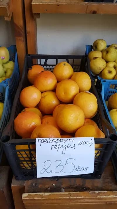 Анико