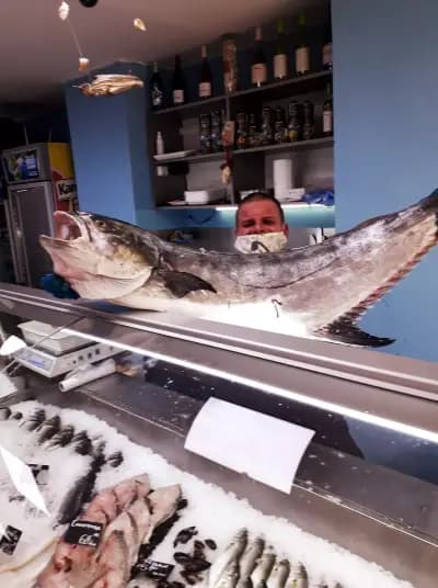 FishART IS магазин за риба
