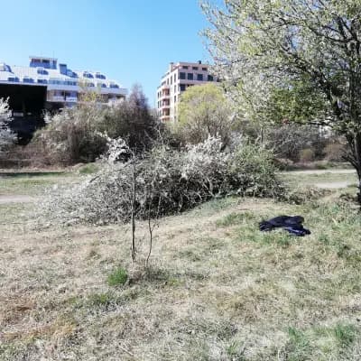 Motopista "Vitosha"