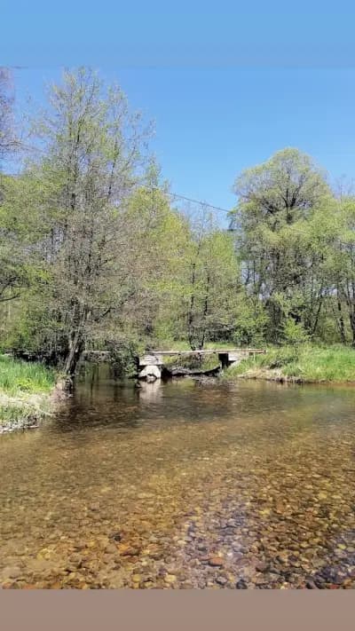 Арена Пасарел