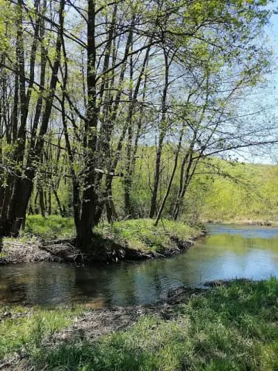 Арена Пасарел