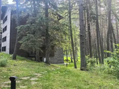 Luxury Chalet Elitsa Wellness & Spa