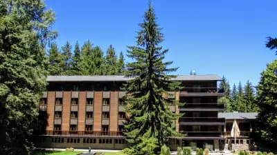 Luxury Chalet Elitsa Wellness & Spa