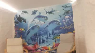 Солна Стая Харманли