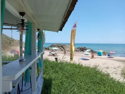 Бирария "Делфин"