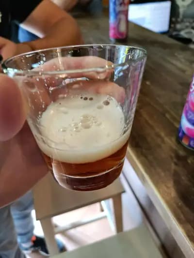 HIGH FIVE taproom - Craft Beers!