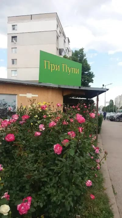 При Пупи