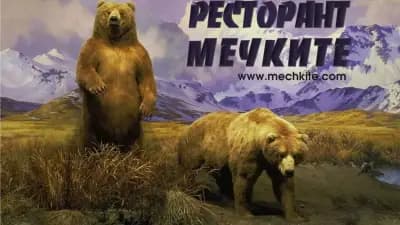 Мечките