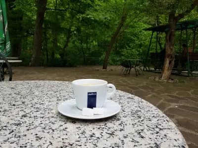 Горски кът