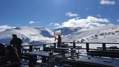 Чайна Ястребец